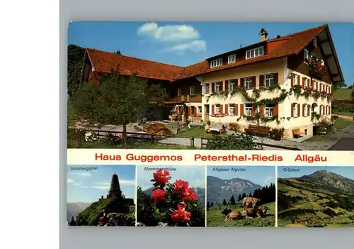 Petersthal Allgaeu Haus Guggemos / Oy-Mittelberg /Oberallgaeu LKR