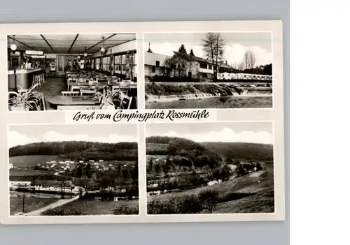 Weickersgrueben Main Gasthaus zum Saalestrand / Graefendorf /Main-Spessart LKR