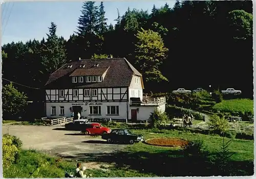 Fohlenplacken Waldhotel Alte Muehle / Holzminden /Holzminden LKR