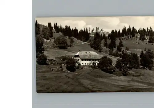 Blasiwald Schlegelhof / Schluchsee /Breisgau-Hochschwarzwald LKR