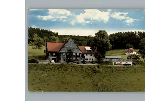 Rudenberg Gasthaus Gruener Baum / Titisee-Neustadt /Breisgau-Hochschwarzwald LKR