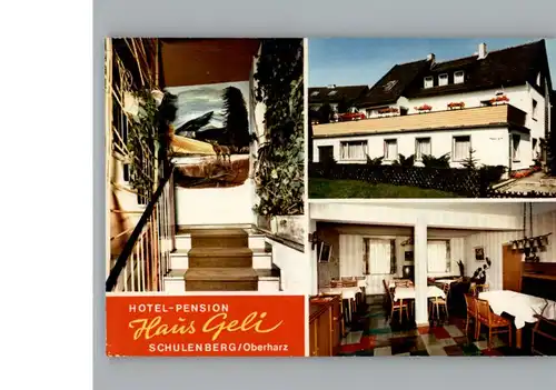 Schulenberg Oberharz Hotel - Pension Haus Geli / Schulenberg im Oberharz /Goslar LKR