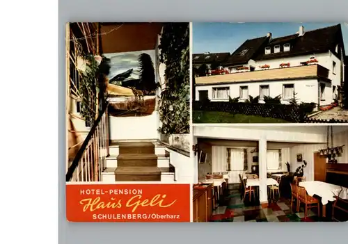 Schulenberg Oberharz Hotel - Pension Haus Geli / Schulenberg im Oberharz /Goslar LKR
