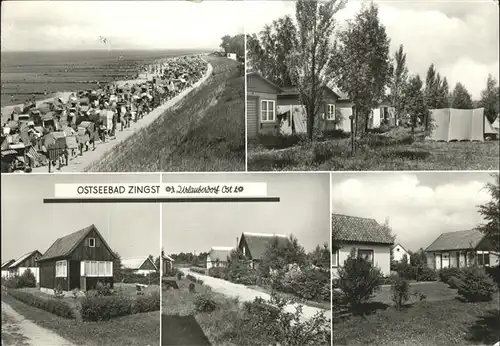 Zingst Ostseebad Urlauberdorf Ost / Zingst Darss /Nordvorpommern LKR