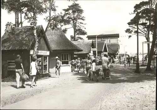 Prerow Ostseebad Weg zum Strand / Darss /Nordvorpommern LKR