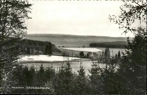 Herbstein Schalksbachteiche Kat. Herbstein