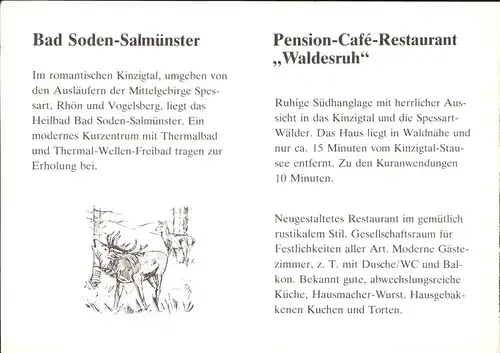 Bad Soden-Salmuenster Pension Cafe Restaurant Waldesruh Kat. Bad Soden-Salmuenster