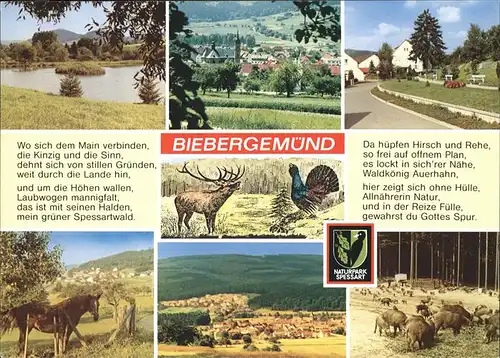 Biebergemuend Naturpark Spessart Kat. Biebergemuend