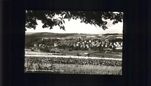 Birstein Teilansicht Kat. Birstein