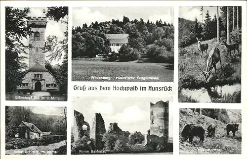 Hochwald Wuerttemberg Hunsrueck Wildschweine Rotwild Ruine Baldenau Kat. Villingendorf
