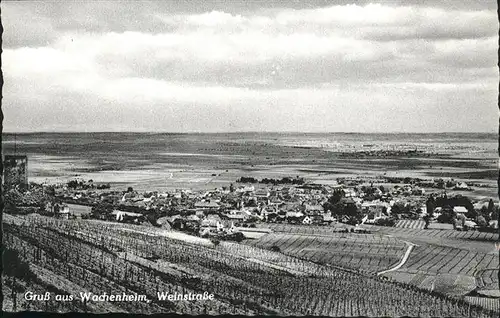 Wachenheim Weinstrasse Weinstrasse Kat. Wachenheim an der Weinstrasse