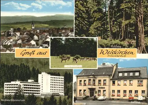 Weiskirchen Saar Waldweg Rathaus Hochwaldsanatorium Rehe Kat. Weiskirchen Saar