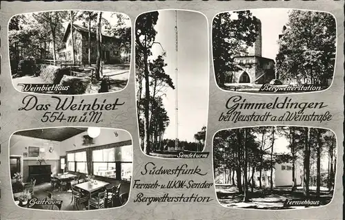 Gimmeldingen Suedwestfung Bergwetterstation Weinbietshaus Helmut Schoeneberger Kat. Neustadt an der Weinstr.