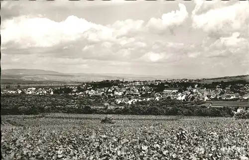 Ingelheim Rhein  / Ingelheim am Rhein /Mainz-Bingen LKR