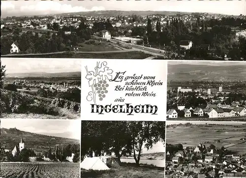 Ingelheim Rhein Weinberg Teilansicht Kat. Ingelheim am Rhein