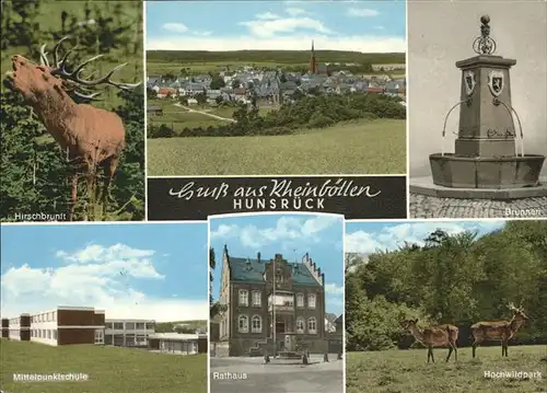 Rheinboellen Hirschbrunft Brunnen Mittelpunktschule Rathaus Hochwildpark Kat. Rheinboellen