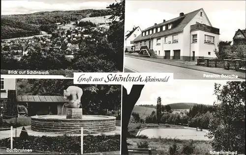 Schoenbach Dillkreis Schwimmbad Dorfbrunnen Pension Dorothe Kat. Herborn