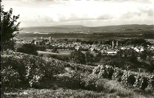 Ingelheim Rhein Gesamtansicht / Ingelheim am Rhein /Mainz-Bingen LKR