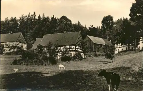 Holzhau Rechenberg-Bienenmuehle Fachwerkhaeuser Weide Kat. Rechenberg-Bienenmuehle