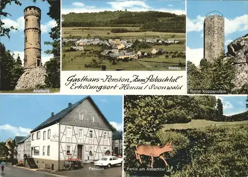 Henau Hunsrueck Ruine Koppenstein Alteburg Gesamtansicht Kat. Henau