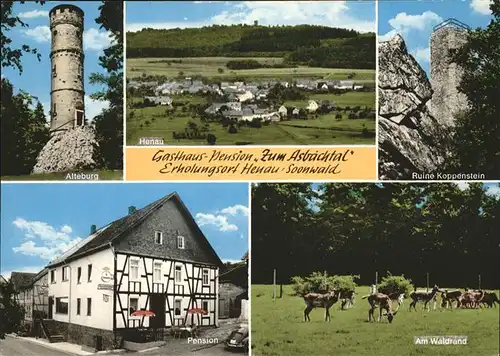 Henau Hunsrueck Alteburg Ruine Koppenstein Pension ZUm Abachtal Kat. Henau