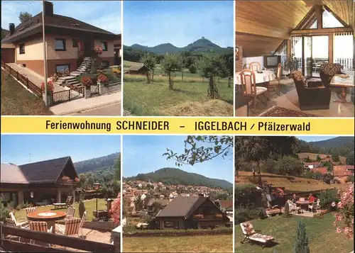 Iggelbach Ferienwohnung Schneider Liegewiese  Kat. Elmstein