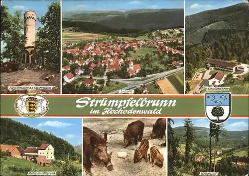 Struempfelbrunn Wappen Hoellengrund Schullandheim Flugaufnahme Aussichtsturm Katzenbuckel Muehle Kat. Waldbrunn