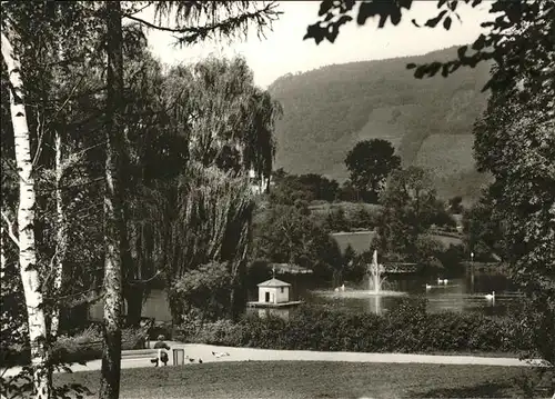 Annweiler Trifels Schwanen Weiher Kat. Annweiler am Trifels