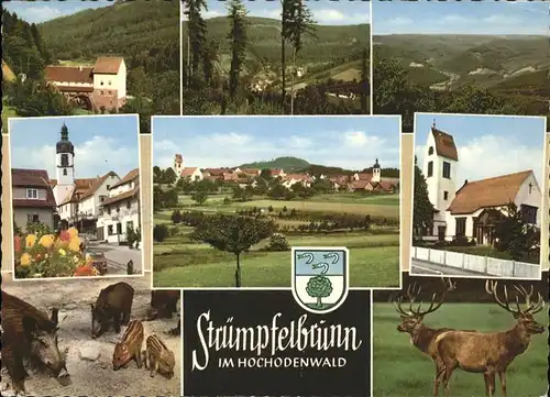 Struempfelbrunn Wappen Wildschweine Hirsche Kirche Kat. Waldbrunn