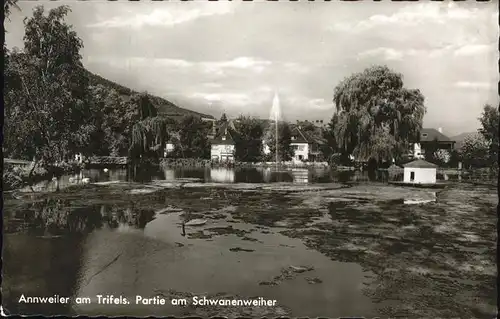 Annweiler Trifels Schwanenweihe Kat. Annweiler am Trifels