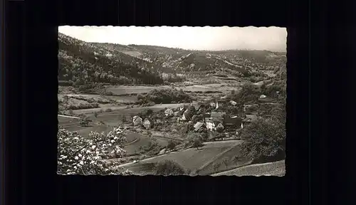 Langenthal Odenwald  Kat. Hirschhorn (Neckar)