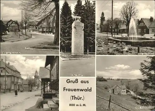 Frauenwald Thueringen Platz des Friedens Suedstrasse Denkmal Der Hirsch Kat. Frauenwald