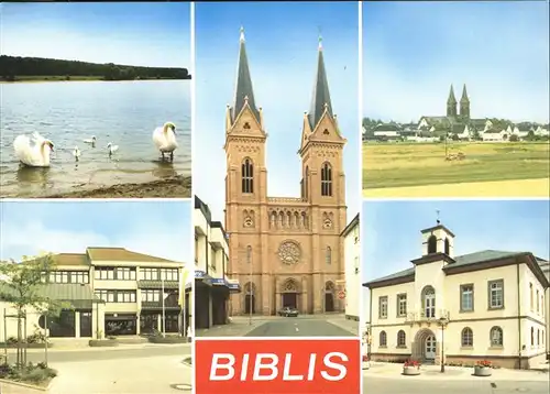 Biblis Kirche Schwaene  Kat. Biblis