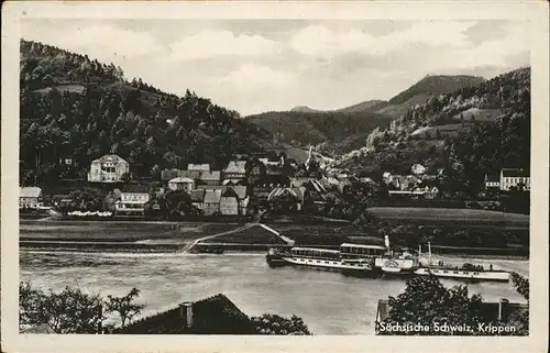 Krippen Bad Schandau Dampfer Schiff Kat. Bad Schandau