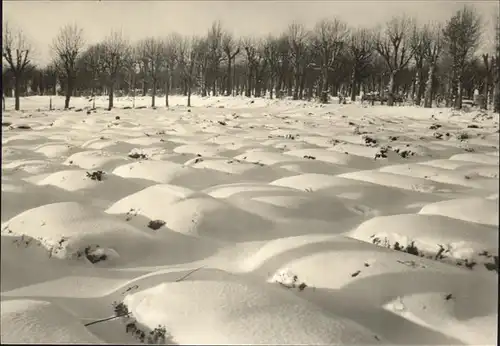 Herrnhut Gottesacker im Schnee Kat. Herrnhut