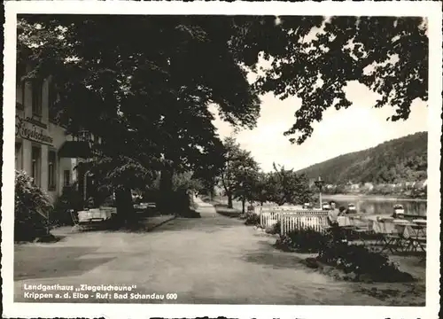 Krippen Bad Schandau Landgasthaus Ziegelscheune Kat. Bad Schandau