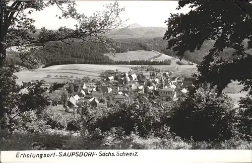 Saupsdorf  Kat. Kirnitzschtal