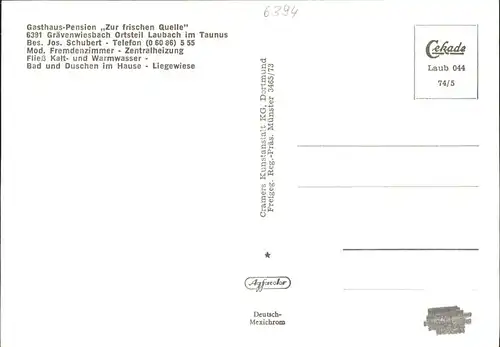 Laubach Taunus Luftbild / Graevenwiesbach /Hochtaunuskreis LKR