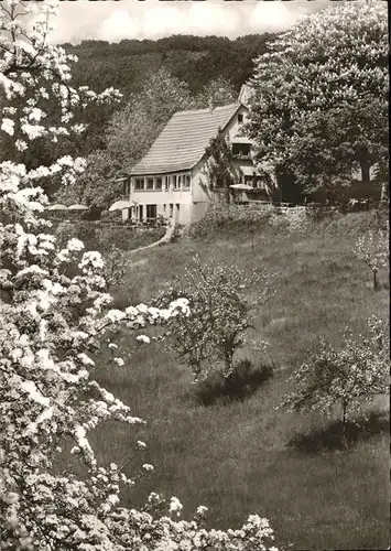 Waldmichelbach Hoehengasthaus Stallenkandel / Wald-Michelbach /Bergstrasse LKR