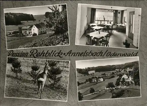 Annelsbach Pension Rehblick Kat. Hoechst i. Odw.