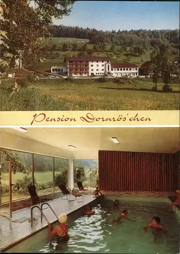 Annelsbach Pension Dornroeschen Kat. Hoechst i. Odw.