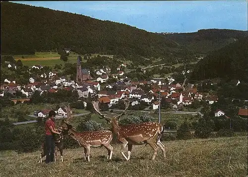 Rippberg Wildgehege Kat. Wallduern