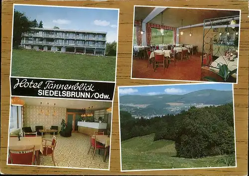 Siedelsbrunn Hotel Tannenblick Kat. Wald-Michelbach
