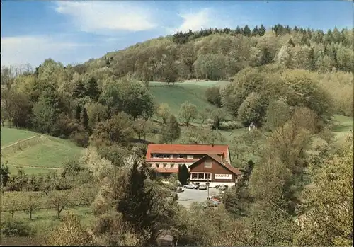 Hemsbach Bergstrasse Hotel Watzenhof Kat. Hemsbach
