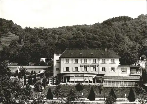 Hemsbach Bergstrasse Hotel Cafe Luisenhof Kat. Hemsbach