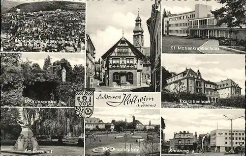 Hofheim Taunus Lourdesgrotte Exerzitienhaus Ehrenmal Rathaus  Kat. Hofheim am Taunus