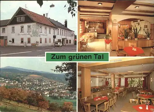 Eppstein Taunus Niederjosbach Gasthaus Zum Gruenen Tal Peter Heinz Kat. Eppstein