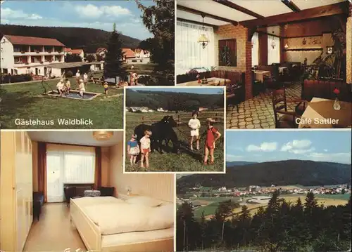 pw11758 Wahlen Odenwald Cafe Pension Sattler Gaesethaus Waldblick Kategorie. Grasellenbach Alte Ansichtskarten