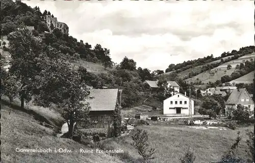 Gammelsbach Ruine Freienstein Kat. Beerfelden