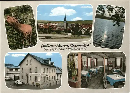 Obertiefenbach Oberlahnkreis Pansion Nassauer Hof Kat. Beselich
